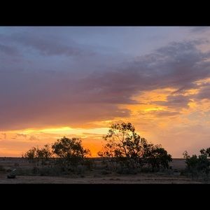 Meet your Posher, Sally-anne